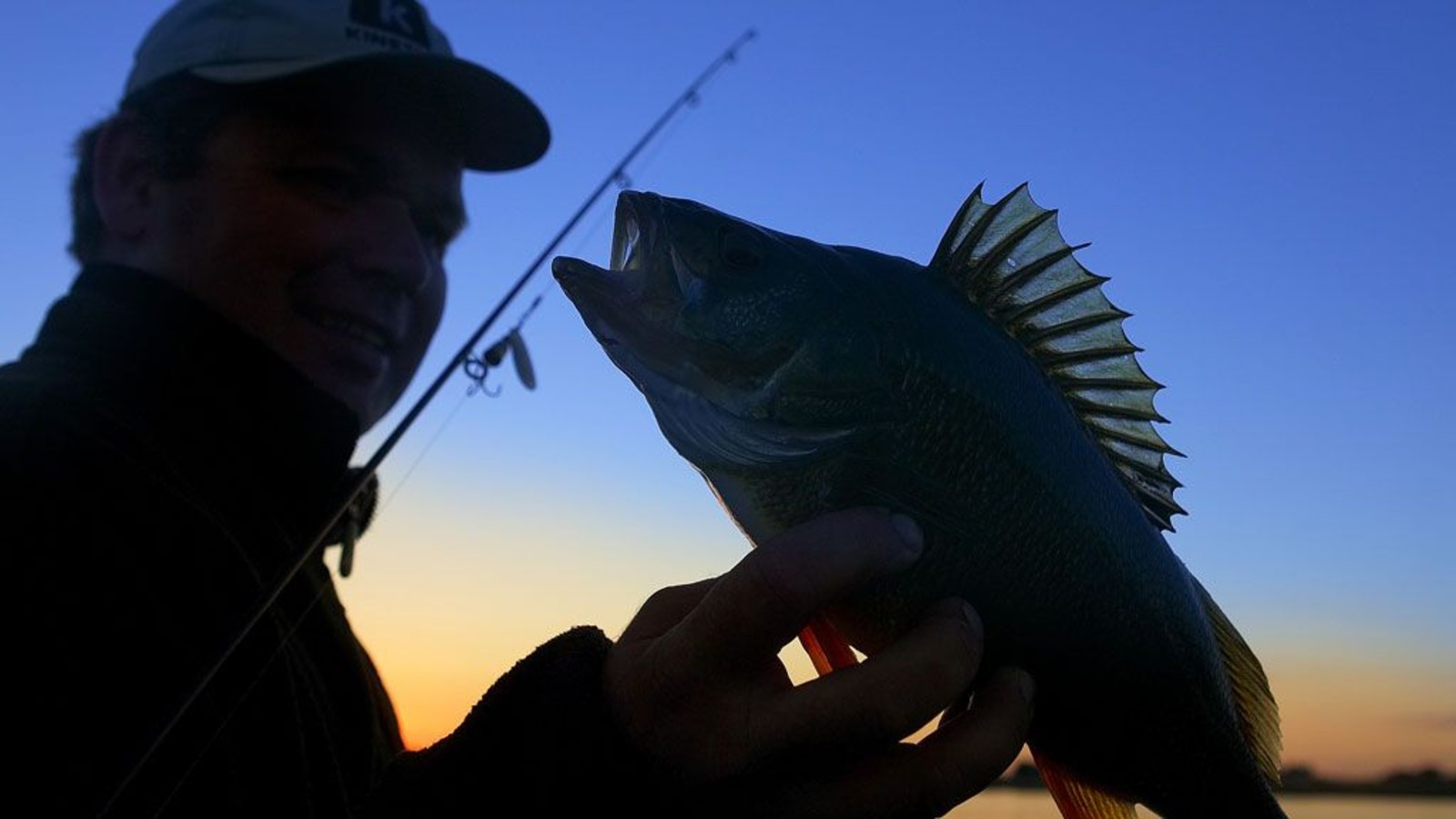 Fisker viser fisk frem