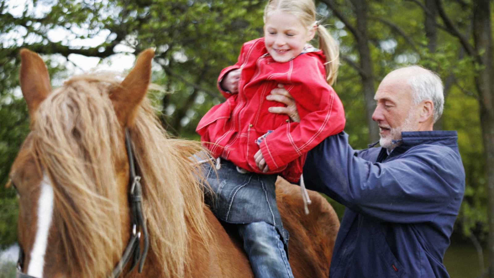 Bedstefar løfter barn op på hest