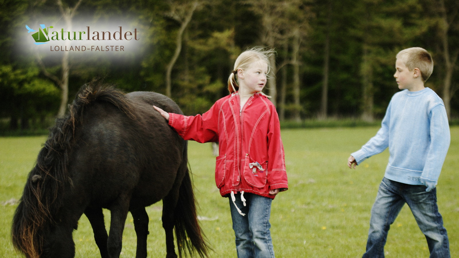 Hest og børn
