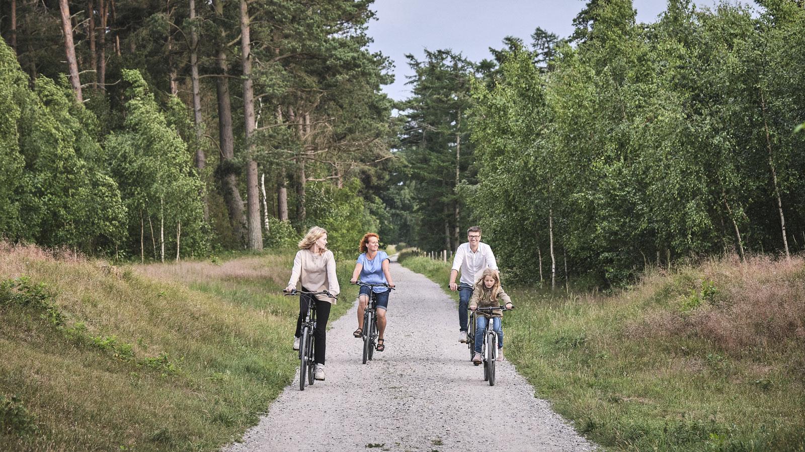 Familie cykler sommer
