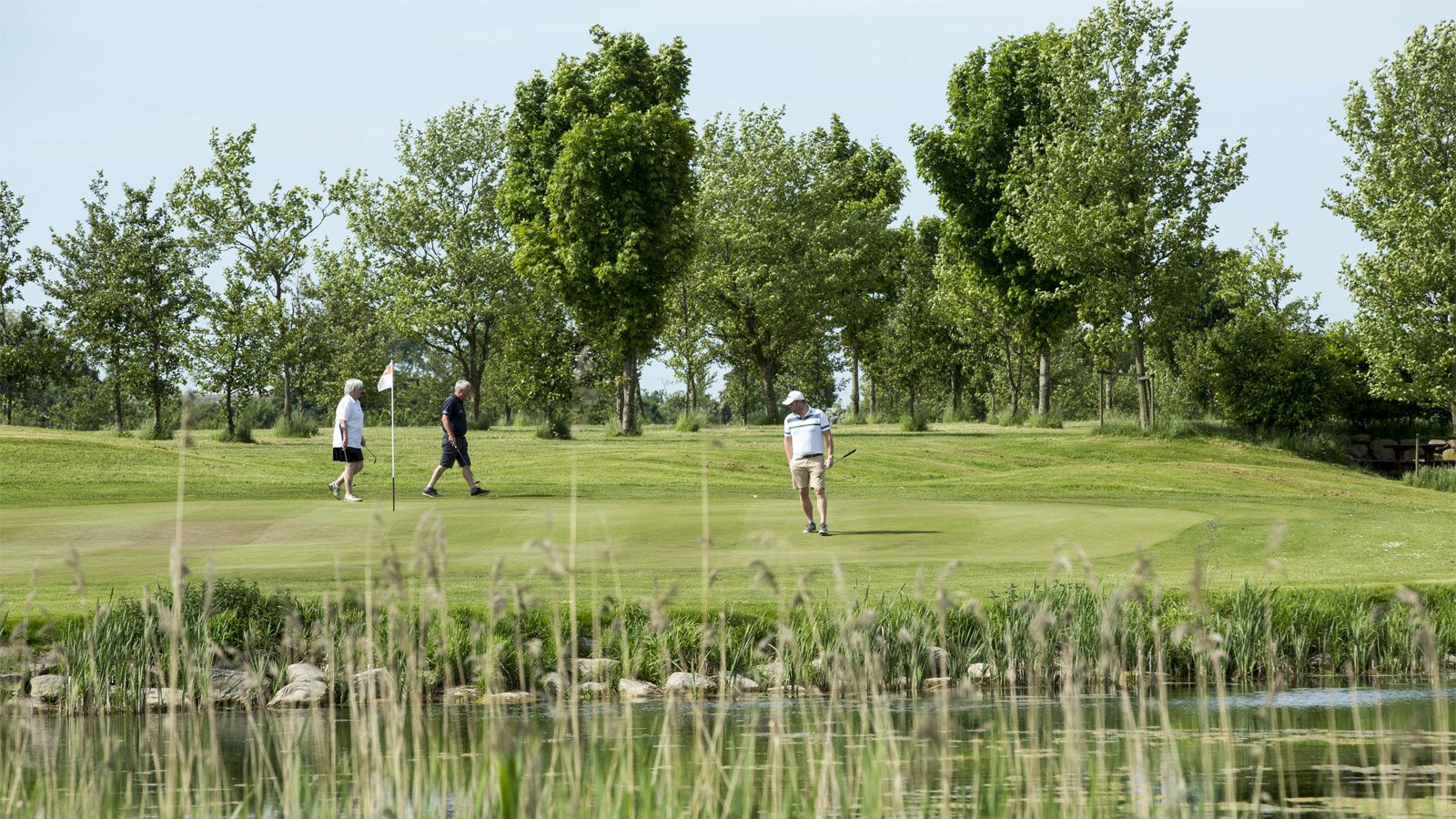 Halsted Kloster Golfklub