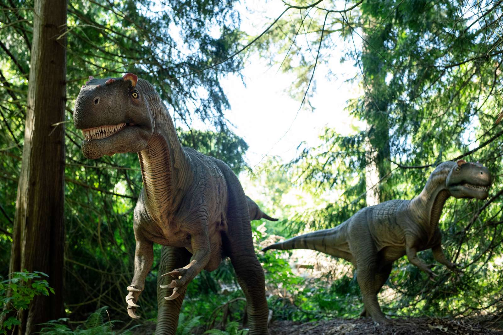 Dinsaurskoven