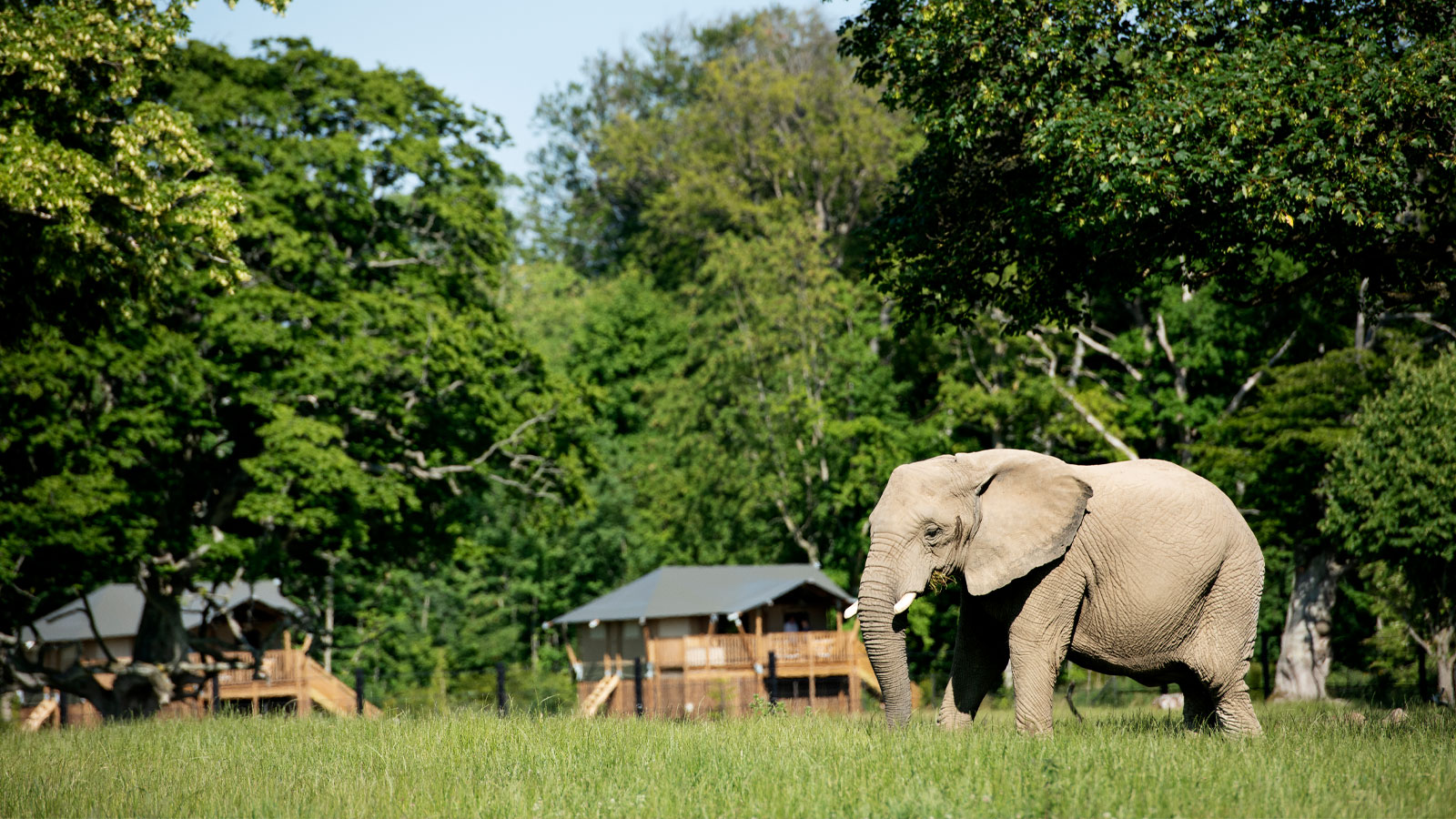 Knuthenborg Safaripark