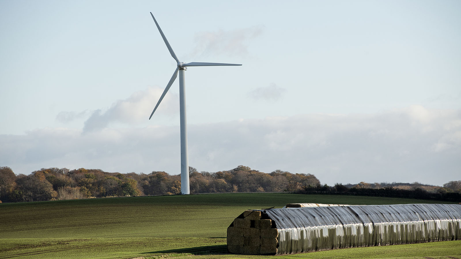 Vindmøller ved Corselitse