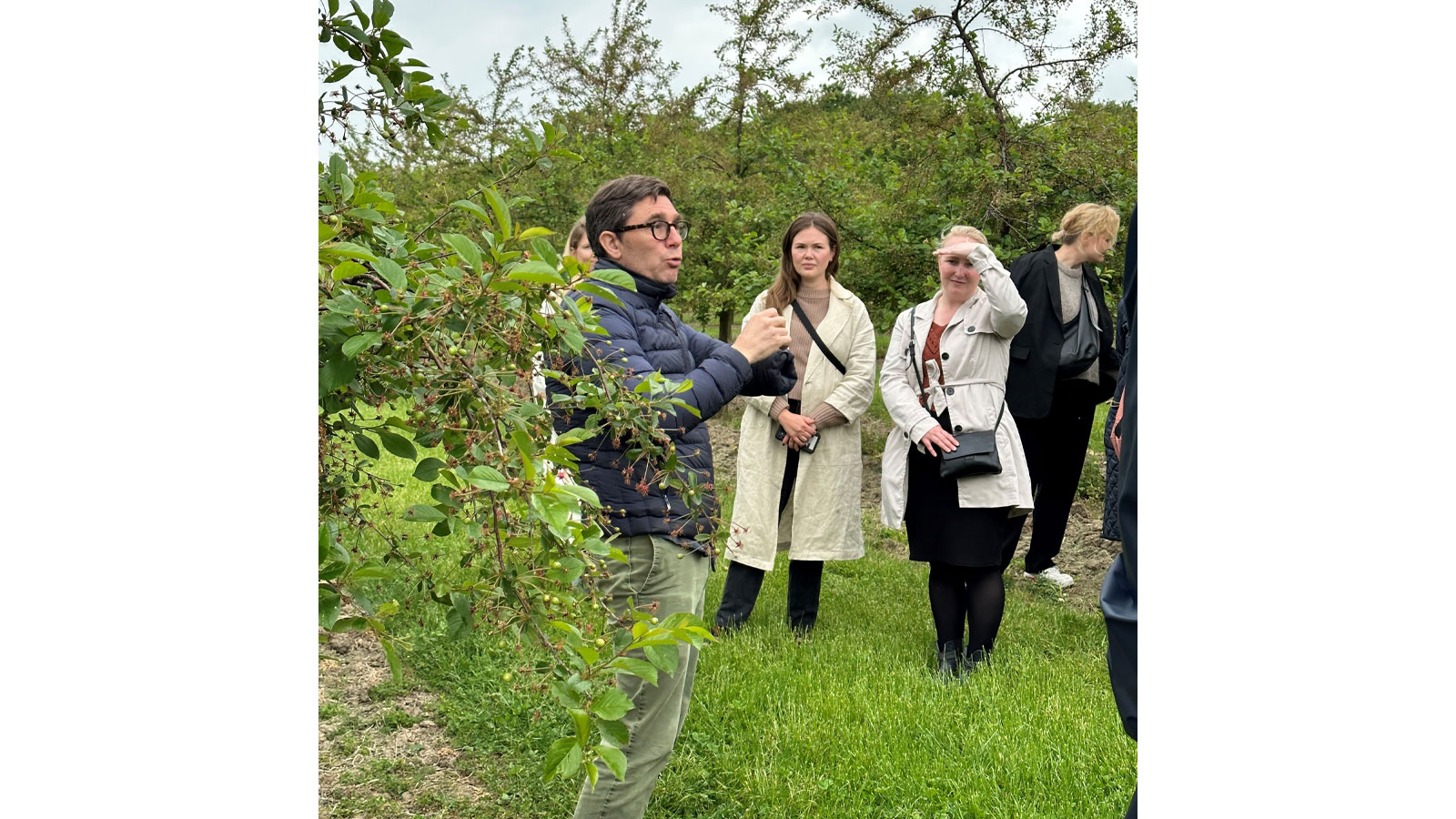 Pressebesøg Frederiksdal Kirsebærvin