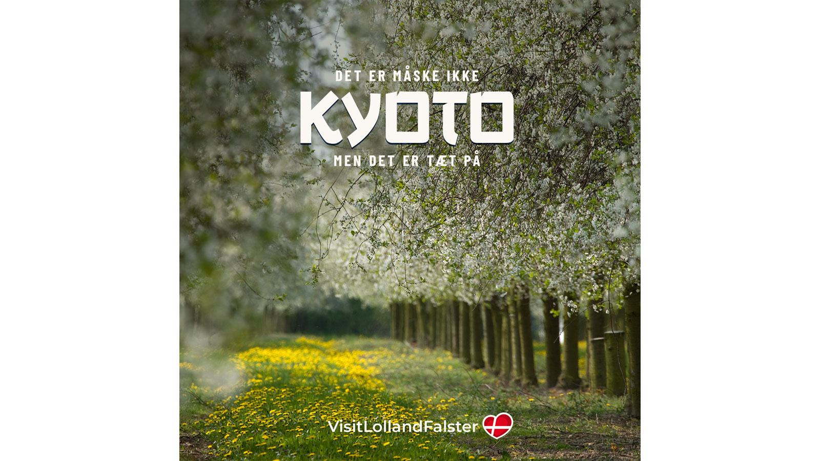 Tæt på Lolland-Falster Frederiksdal Kirsebærvin