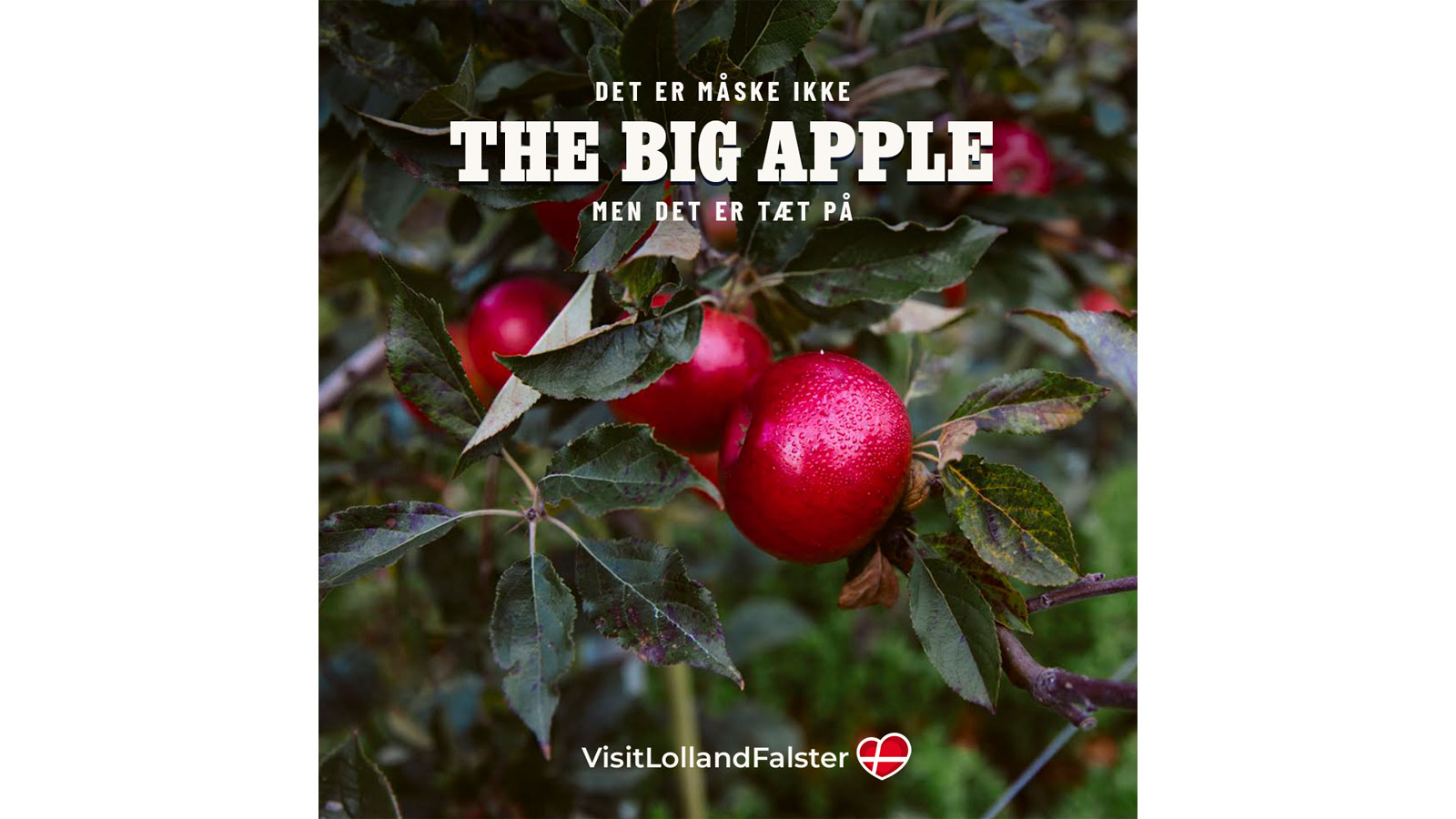 Tæt på Lolland-Falster lokale smagsoplevelser