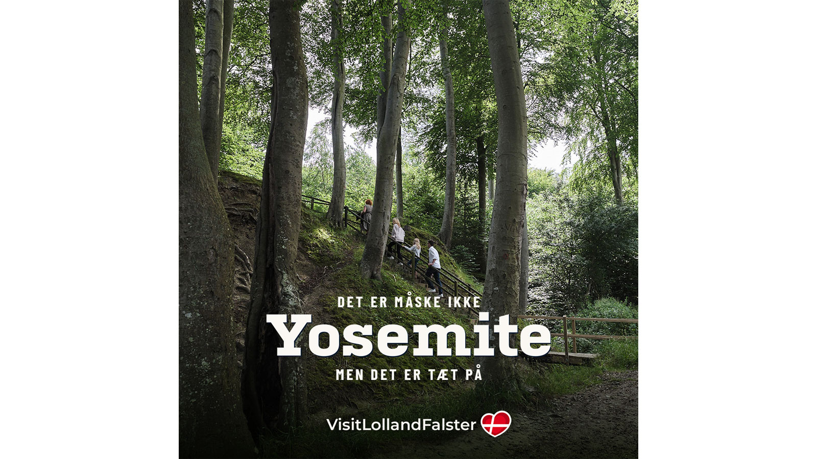 Tæt på Lolland-Falster unikke naturoplevelser