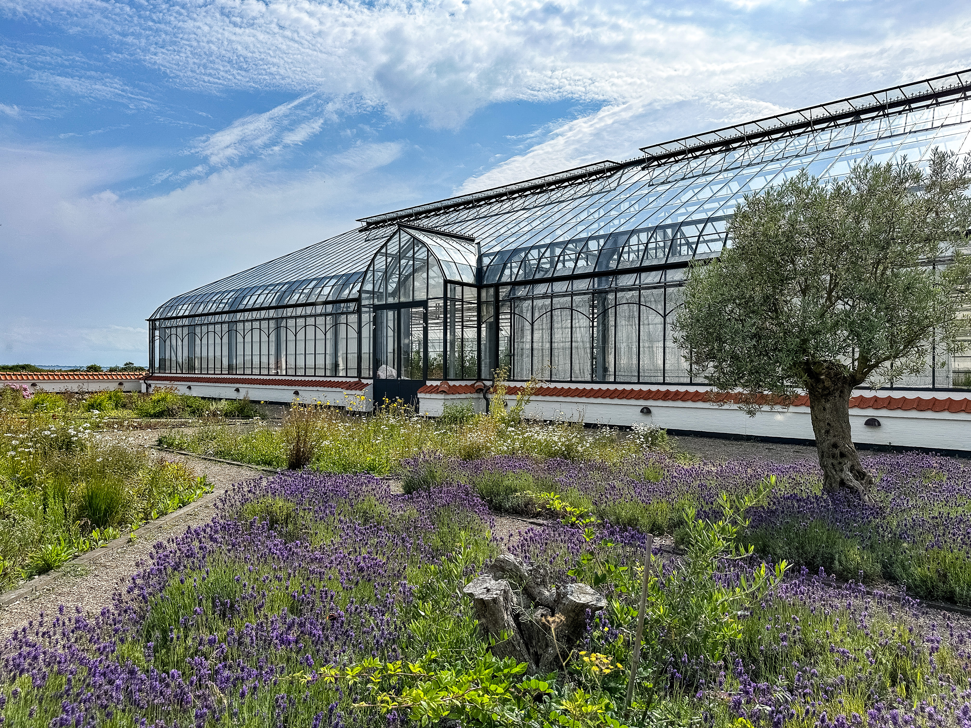Vejrø Resort drivhus