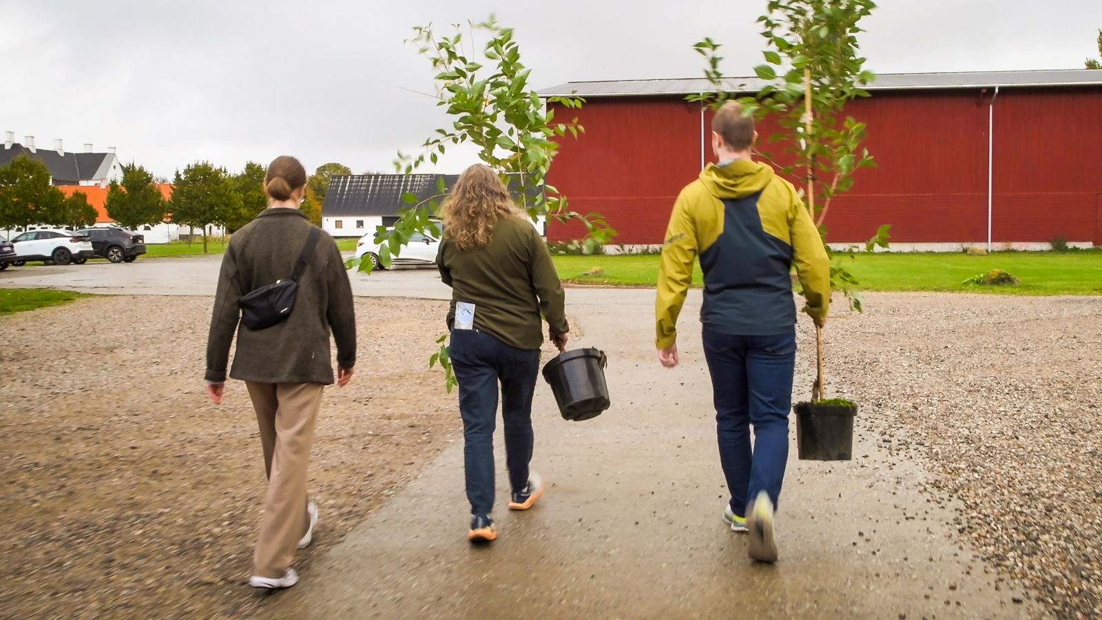 ReTour Frederiksdal Kirsebærvin Plant for fremtiden